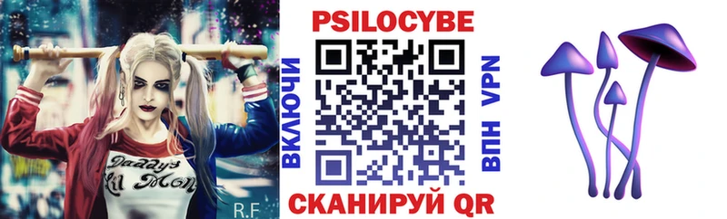 kraken зеркало Чердынь Галлюциногенные грибы GOLDEN TEACHER
